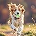 Hundeball 3 Stück Gummi Hundespielzeug Ball 4cm unzerstörbarer Gummiball für Training, hunde ball vesWelpen Katzen Interakti hundespielzeug kleine hunde welpen spielzeug hundeball unzerstörbar