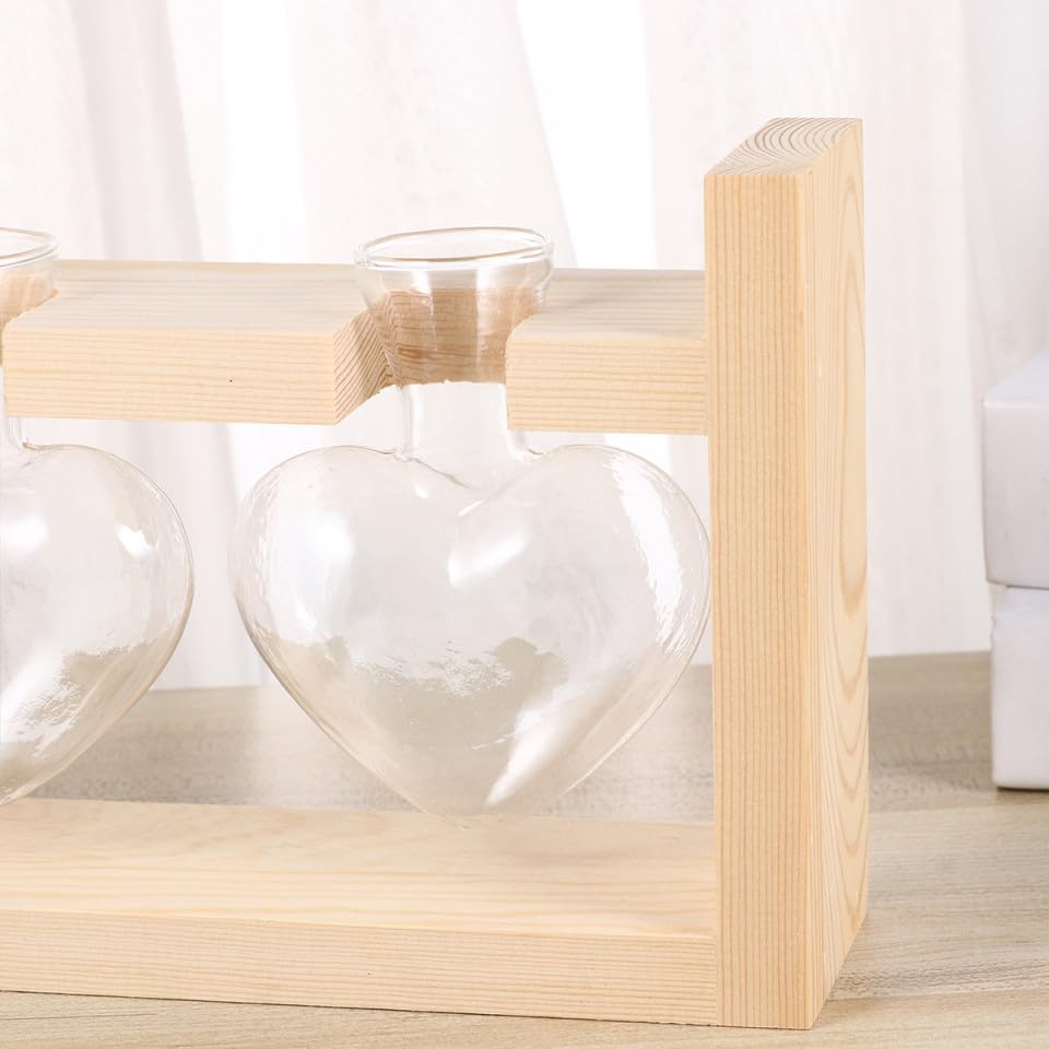 Jarrones hidropónicos de cristal con soporte de madera POPETPOP 2 piezas 7