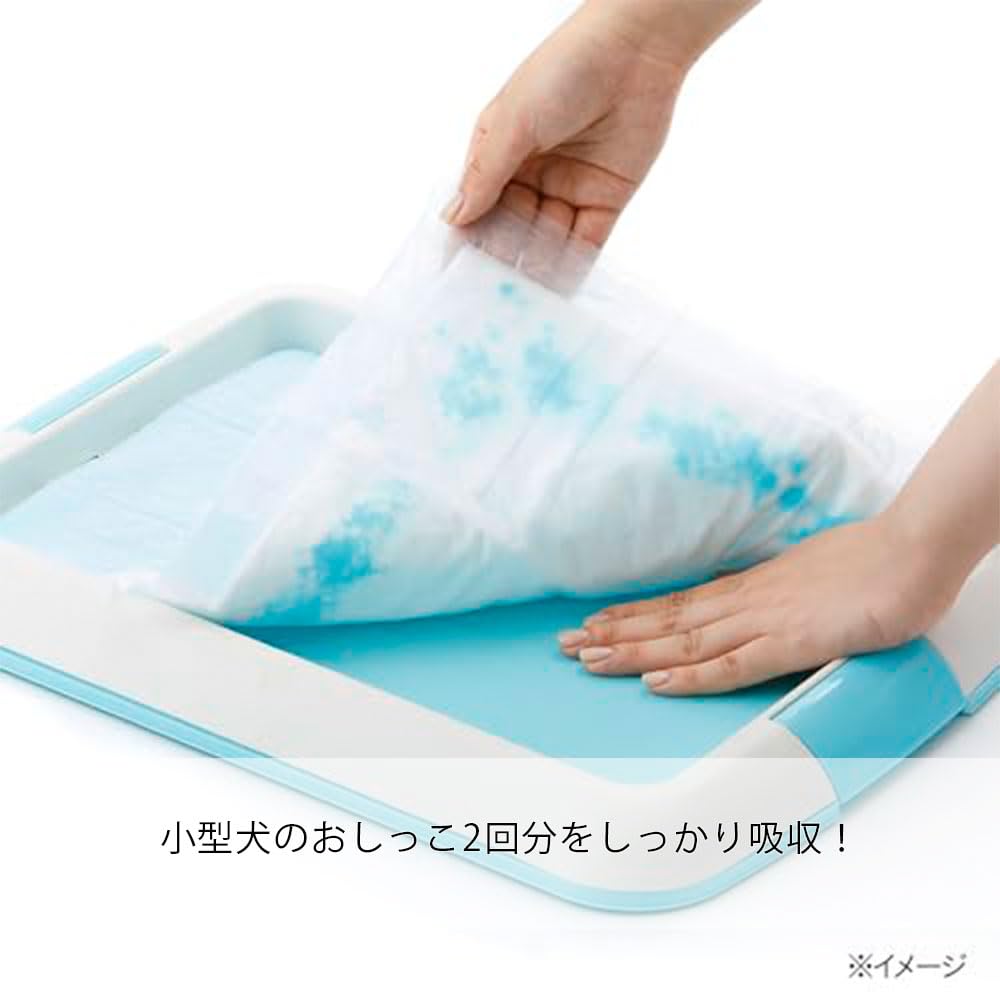 Amazon | カインズ(CAINZ) 両面吸収ペットシーツ レギュラー 72枚 犬用