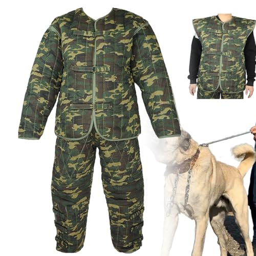 Are labradors good guard dogs