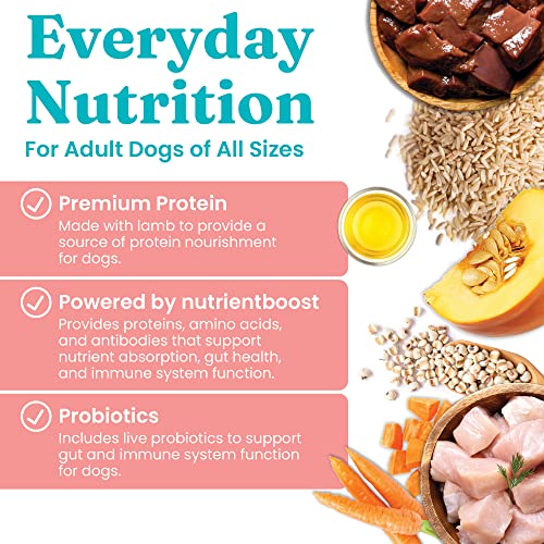 Solid Gold Canned Dog Food for Adult & Senior Dogs – Nutrientboost Hund-N-Flocken Made with Real Chicken and Healthy Whole Grains – High Calorie, High Protein Wet Dog Food – 6ct/12.5oz Cans Solid Gold Canned Dog Food for Adult & Senior Dogs – Nutrientboost Hund-N-Flocken Made with Real Chicken and Healthy Whole Grains – High Calorie, High Protein Wet Dog Food – 6ct/12.5oz Cans