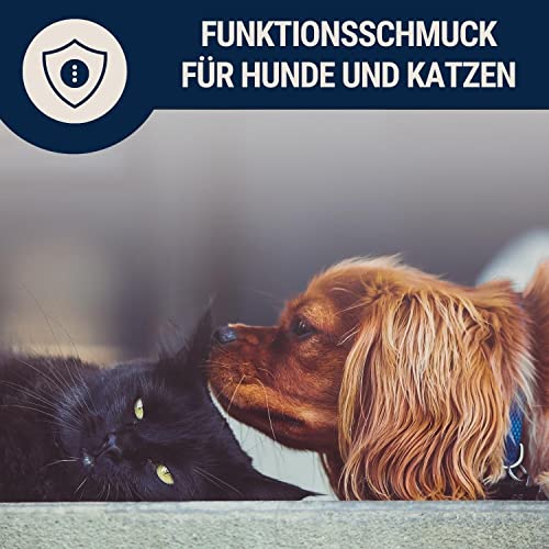 Nosli Bernsteinkette Halsband für Hunde und Katze • Hundehalsband Baltischer Bernstein • Bernstein Halsband • Länge: 20cm