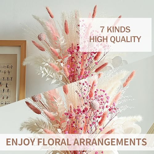 90pcs Flores Secas Pink Pampas Grass Decor miniatura 5
