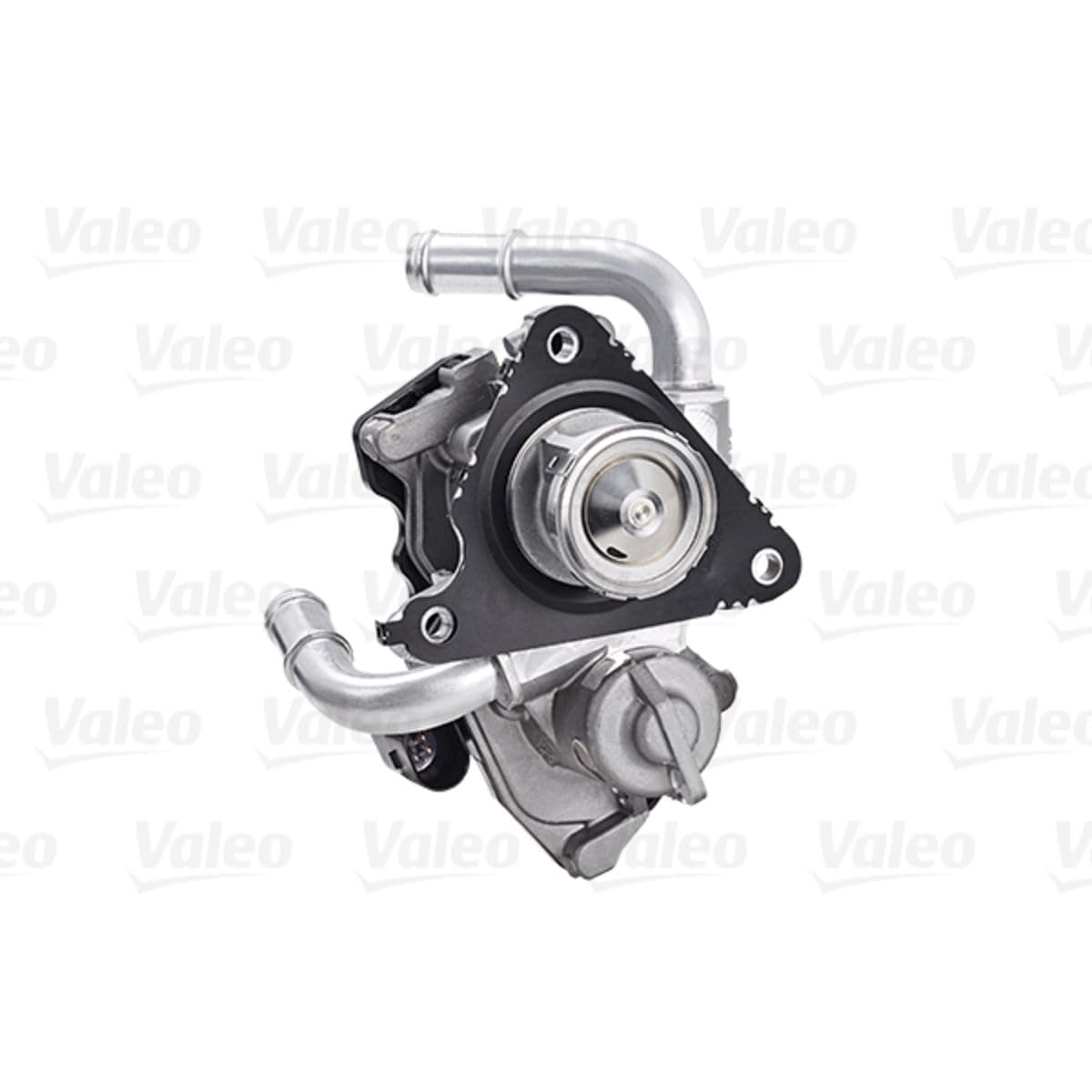 Valeo Válvula EGR 700454