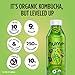 HUMM KOMBUCHA Organic Ginger Lime Probiome Kombucha, 16 FZ