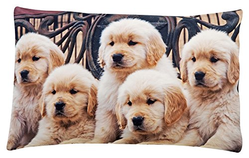 Casatessile Impresión fotográfica de Almohada Cama Labrador