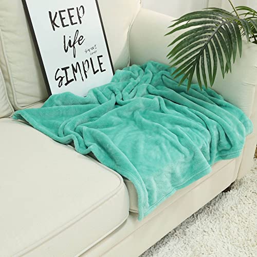Image of NANPIPER Baby Blankets, Super Soft Fleece Fuzzy Blanket for Toddler, Luxury Cozy Lightweight Microfiber Plush Blanket-Throw Size 30 inchx40 inch,Lake Blue