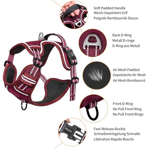 Image of HEELE Dog Harness for Small Dogs No Pull Dog Vest Harness for Small Dog with Soft Padded Handle Reflective for Outdoor Training, Burgundy Red, S