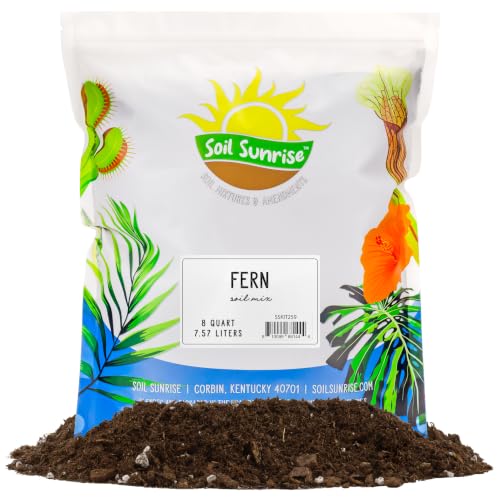 Soil Sunrise Fern Plant Potting Soil Mix (8 Quarts) Custom Hand Blended Mixture for Indoor/Outdoor Container Gardening