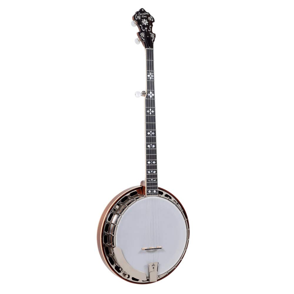 Recording King RK-ELITE-76 Elite Banjo, Hearts and Flowers Inlay