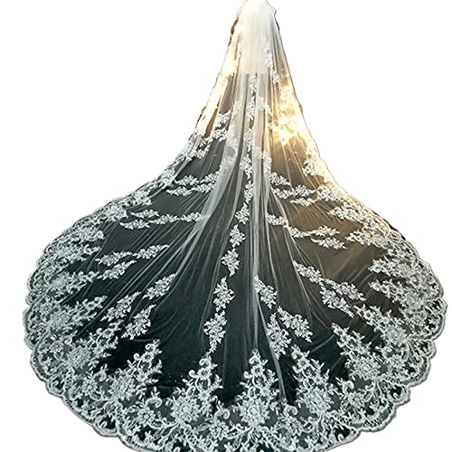 Wedding Accessory Luxury Long Bridal Veil White Ivory Wedding Veils With Comb Lace Edge Applique Elegant Cathedral Length 1 T (Color : White, Item Length : 500Cm) #TOP4