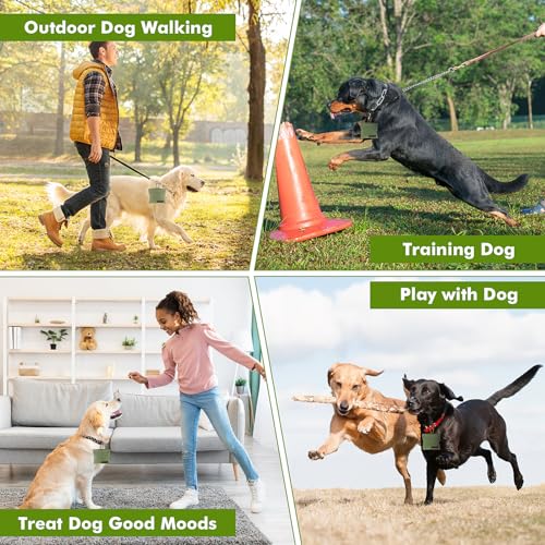 Jeffdad Leckerlibeutel für Hunde, Freihändige Futterbeutel Hundetraining mit Karabiner Freihändige Hundeleckerlitasche mit Automatischem Verschluss Welpen Leckerlitasche für Hundetraining(Grün)