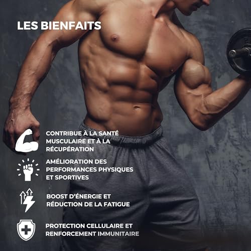 Maca noire, 4000 mg extra-fort, Tribulus terrestris, Arginine, Citrulline, Zinc, vitamin B12, Cuivre, Sélénium, Performance, Endurance, Vigueur, 120 gélules, Boosties – Image 3