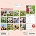 Carousel Calendars, Weimaraners 2026 Wall Calendar, 12'' X 12'', 16-Month Calendar with Stapled Binding