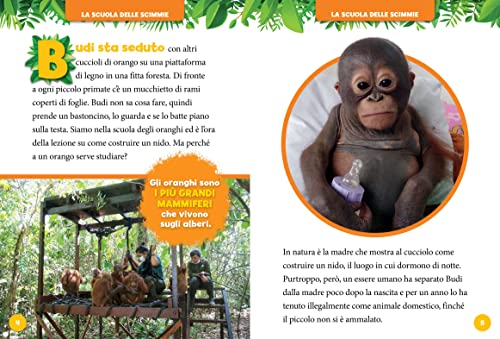 Storie Di Cuccioli In 5 Minuti. Ediz. A Colori - 4