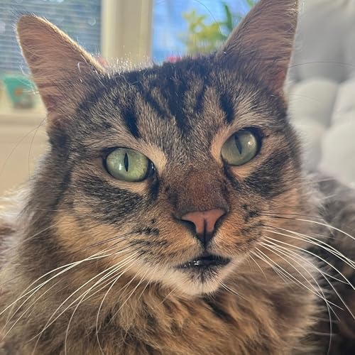 Creating and Sharing When the World Feels Heavy