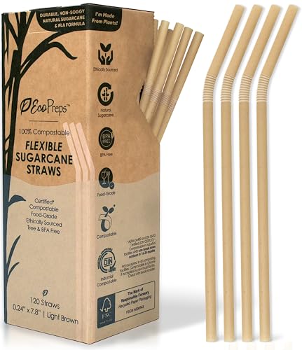 Biodegradable Sugarcane Straws 120 Count