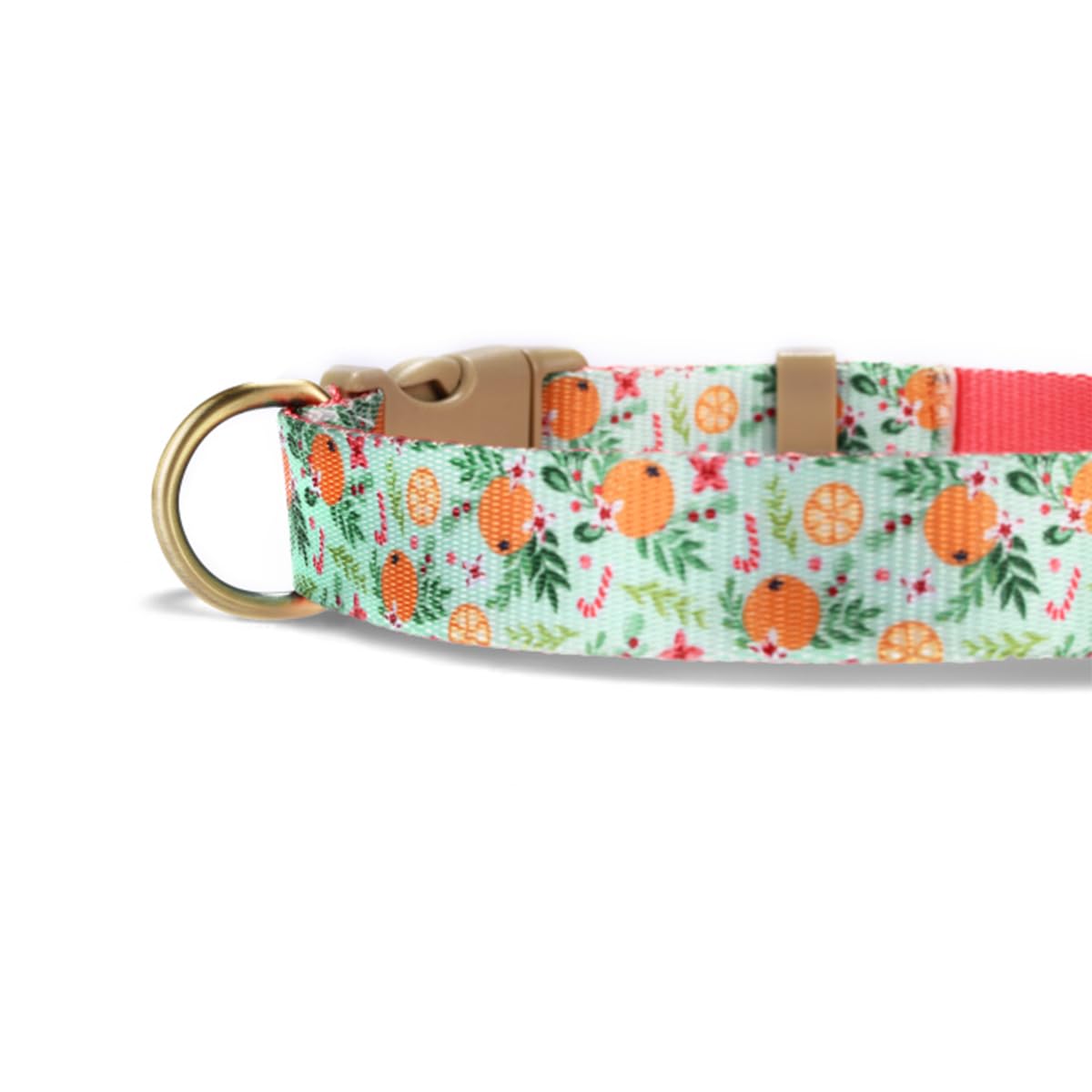 Petiry Vibrant Orange Fruit Print Nylon Dog Collar For Large Dogs Neck 49-55cm,Orange,L, A-GreenOrange - Image 4