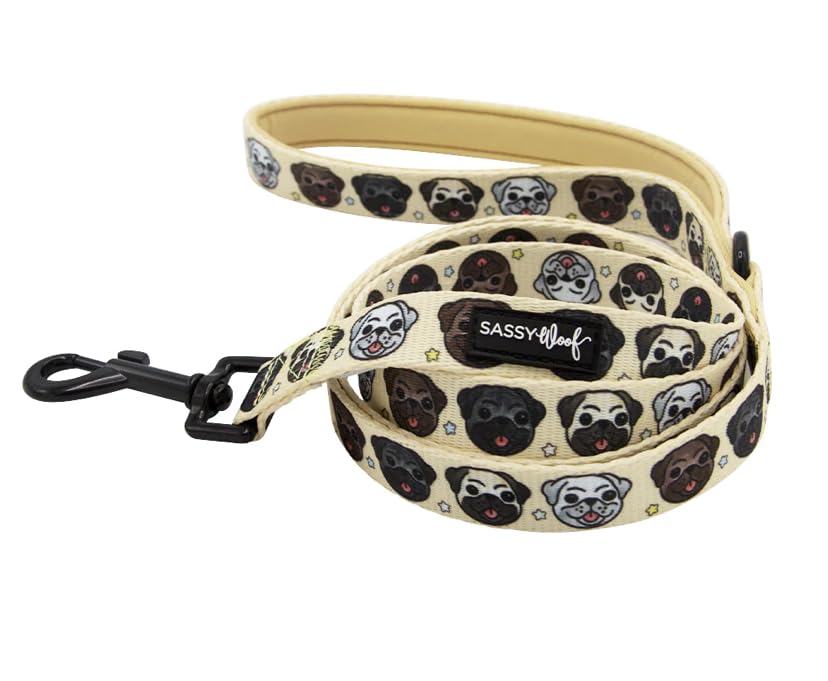 新品 SASSY WOOF サシーウォフ ディズニー ライオンキング 首輪