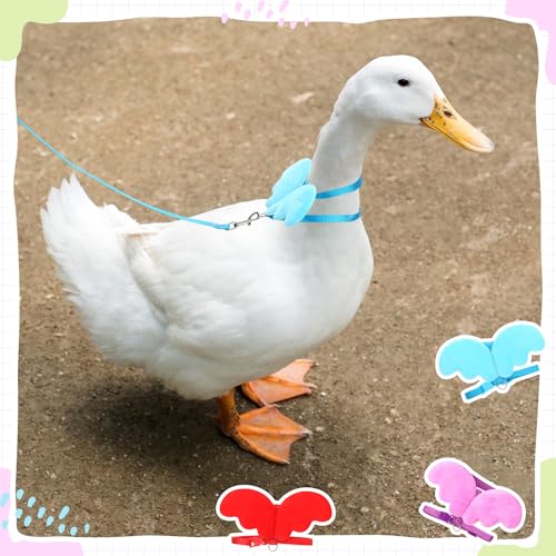 Image of SATINIOR 3 Pack Harness and Leash for Pet Ducks, Real Duck Collar and Leash Soft and Adjustable Harness Training Traction Rope Collar for Young Adult Pet Goose Chicken Hen(Blue Red Purple,S)