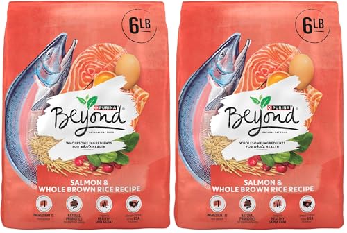 Image of Purina Beyond Natural Wholesome Ingredients for Whole Health Dry Cat Food Salmon and Whole Brown Rice Recipe - 6 lb. Bag (Pack of 2)