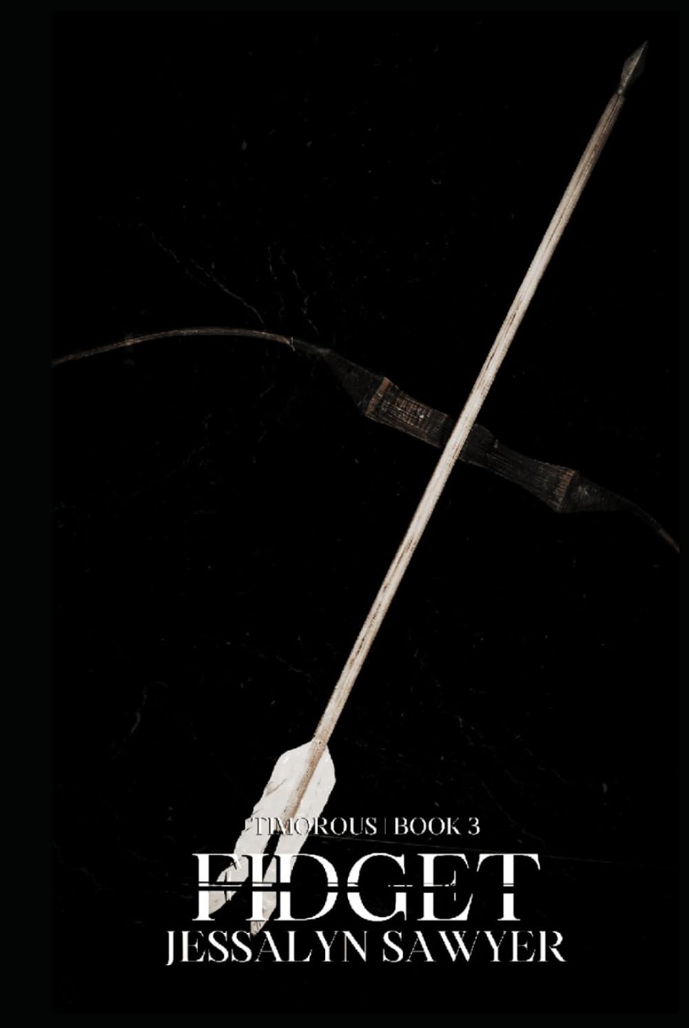 Fidget: Book Three (The Timorous Saga)