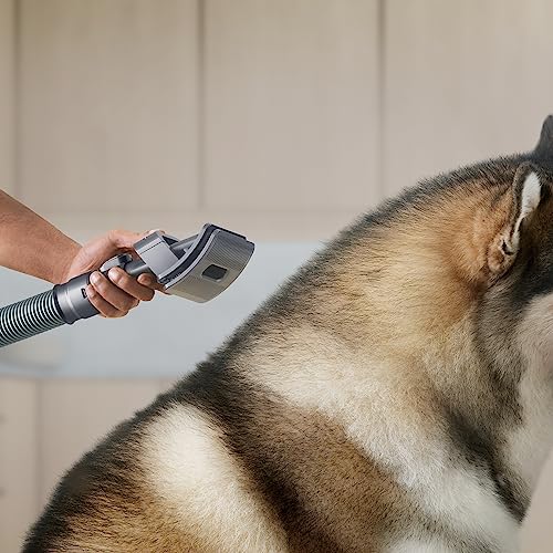 Dyson Groom Tool Vakuum-Zubehör