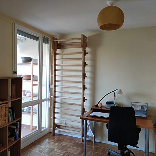 ARTIMEX Sprossenwand aus Eiche, Modell Vintage, für Physiotherapie und Gymnastik - verwendet in Heimen, Fitnessstudios, Kliniken, Schulen oder Fitnesscentern - 240 x 90 cm, Artikelnr. 279-R