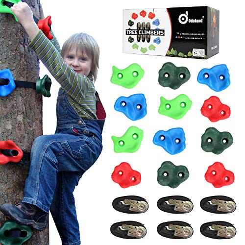 Odoland 12 pzas Presas de Escalada Conjunto para Niños, Juego de Asas de Escalada Incl. con 6 Trinquetes Resistentes y Correas de Seguridad, Equipo de Entrenamiento para Escalada para Niños