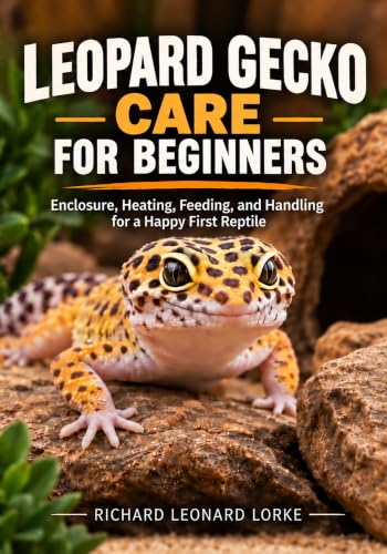 Leopard Gecko Care for Beginners: Enclosure, Heating, Feeding, and Handling for a Happy First Reptile