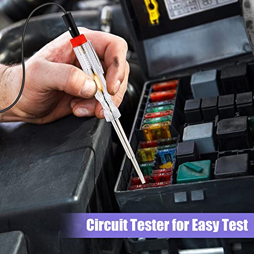 Hifrom Fusibili Auto, 300PCS Mini/Medio/Standard