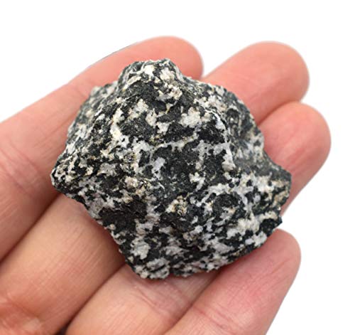 Image of EISCO 12PK Raw Diorite, Igneous Rock Specimens - Approx. 1 inch - Geologist Selected & Hand Processed - Great for Science Classrooms - Class Pack