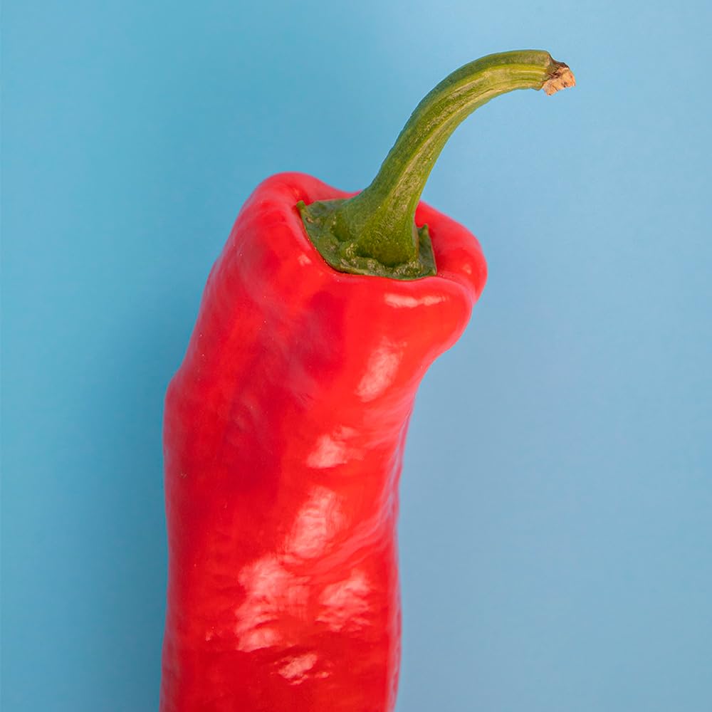 Pimiento Sweet Palermo 4 kg, La Parcela, Origen España, Andalucía (Costa Tropical), Comprar Pimiento Fresca, De La Huerta A Tu Casa, Producto de Cooperativa Granada La Palma