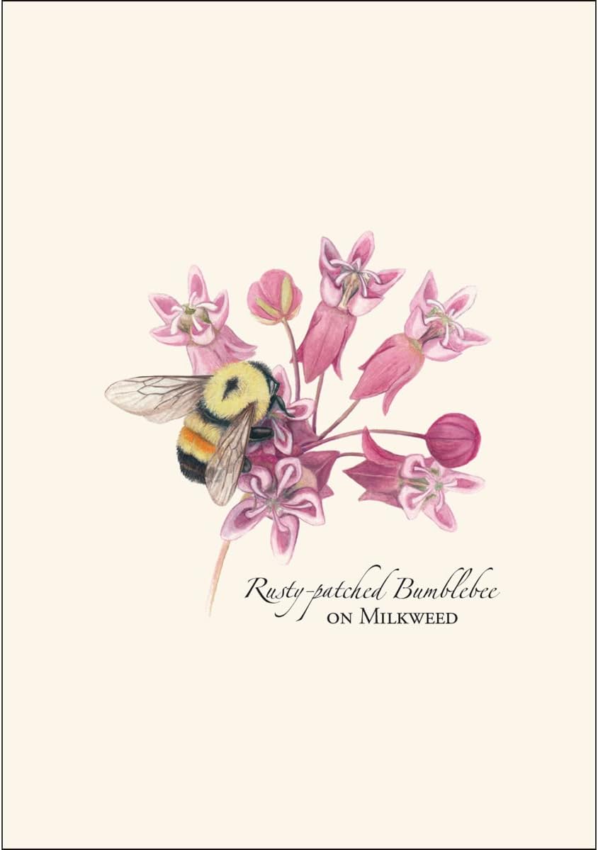 Earth Sky + Water - Bumblebee Assortment Notecard Set - 8 Blank Cards with Envelopes (2 each of 4 styles) - Image 3