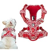 Tineer Blumenmuster No-Pull Hundegeschirr Reflektierendes Nylon Verstellbare Weiche, gepolsterte ...