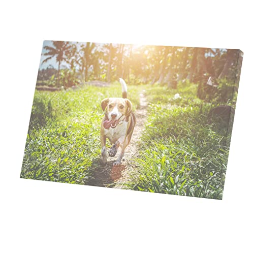 Affiche Beagle en Ballade Poster Chien Idéal pour Salon et Chambre d'Enfant