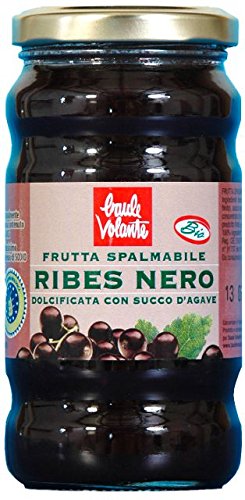 Grosella negra fruta untable 280 g BIO