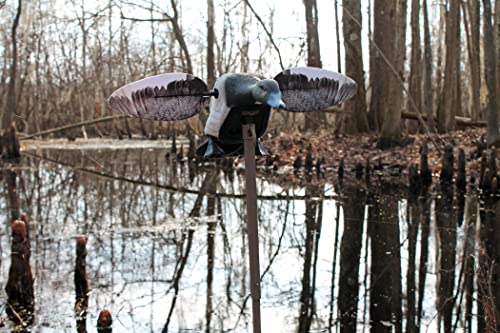 image for MOJO Outdoors Eliite Series Diver Bluebill - Premium Waterfowl and Duc
