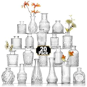 Arme 20 Pcs Bud Vase Set, Mini Vases for Flowers, Small Vintage Glass Vase for Centerpieces, Cute Clear Bud Vases for Home Flower Wedding Decorations