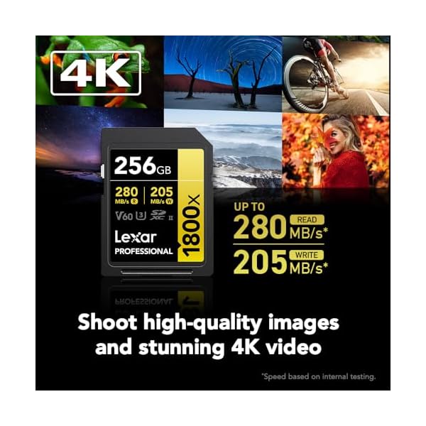 Lexar SDXC Professional 256GB 1800x UHS-II Serie Gold, Clase 10, U3, V60, Grabación de vídeo en 4K, Negro - Image 4