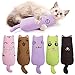 Legendog 5 Piezas Gato Catnip Juguete ExpresióN Linda Resistente A Mordeduras Juguete para Gatos Juguete para Gatitos Juguete para Masticar Mascotas