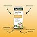 hübner® Bronchial-Sirup – Mit Thymian & Salbei, unterstützt die natürliche Reinigung der Atemwege, ohne Alkohol, Laktose & Gluten, ideal für Hals & Bronchien in der Erkältungszeit, vegetarisch