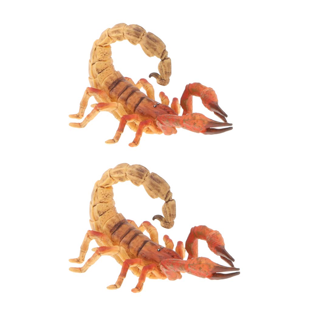 Amazon.co.jp: CUTICATE 2ピース サソリ動物モデル フィギュア置物