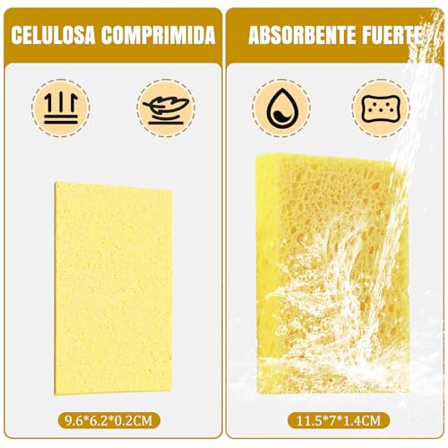 Catálogo de Esponja celulosa más recomendados. 3