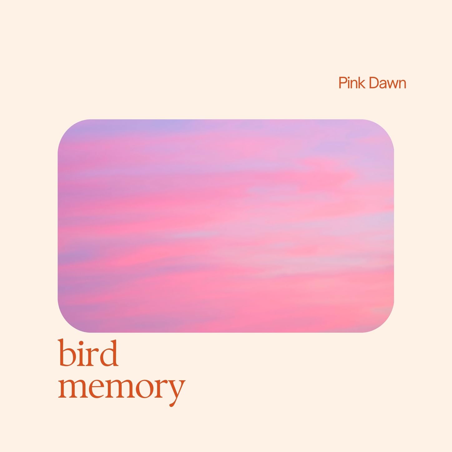 bird memory