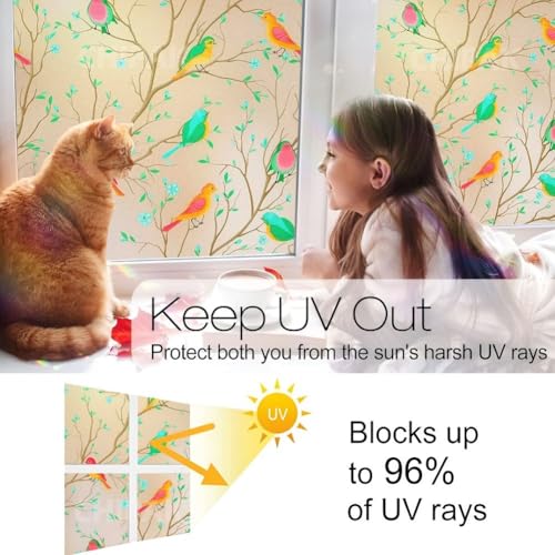 Image of CHIPAK Premium Vinyl Privacy Stained Window Glass Film (18x100 Inch) - Self-Adhesive Decorative Sticker Opaque Sheet Tint Wallpaper for Glass Cover Window, Door, Office, Home.| Anti-UV. Colorful Birds
