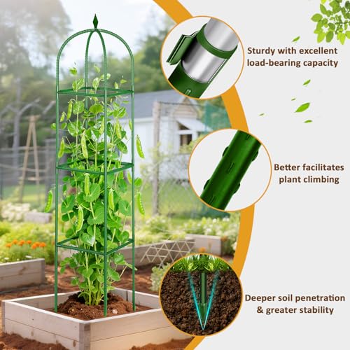 Image of Garden Trellis for Climbing Plants, Tomato Cage, Rose, Flowers, Grape, Pea, Cucumber Trellis, Rustproof Plastic Coated Metal Plant Support for Potted Plants Indoor Outdoor - 1PC Plant Trellis