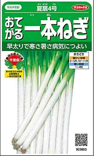 種・おてがる一本ねぎ・