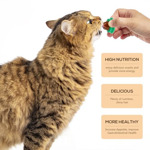 Evita el Sedentarismo Felino con Bolas de Hierba Gatera Natural que Fomentan el Ejercicio 5