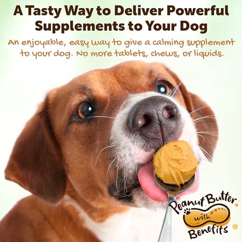 Rileys-Calming-Peanut-Butter-for-Dogs-Dog-Peanut-Butter-Calming-Aid-Separation-Anxiety-Relief-for-Dogs-846-oz - Cucciolini Doodles Rileys-Calming-Peanut-Butter-for-Dogs-Dog-Peanut-Butter-Calming-Aid-Separation-Anxiety-Relief-for-Dogs-846-oz